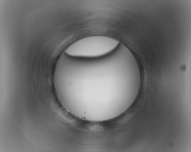 X0000112790258200908210946