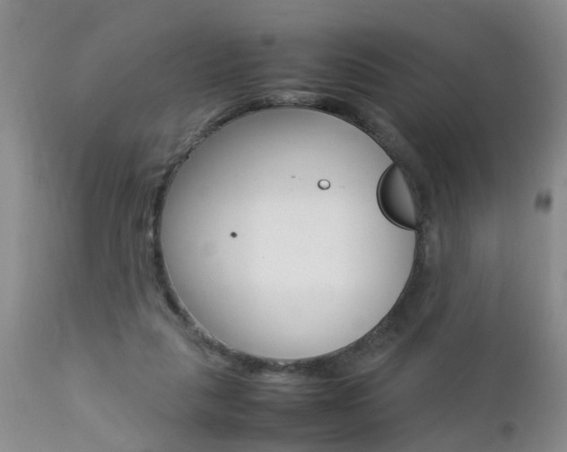 X0000112790259200908210946