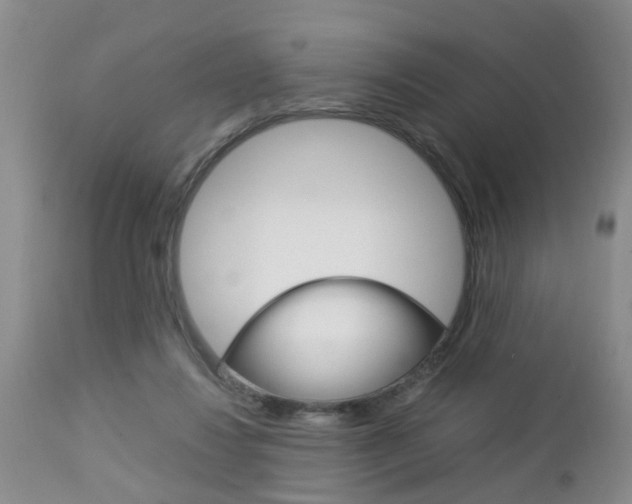 X0000112790260200908210946