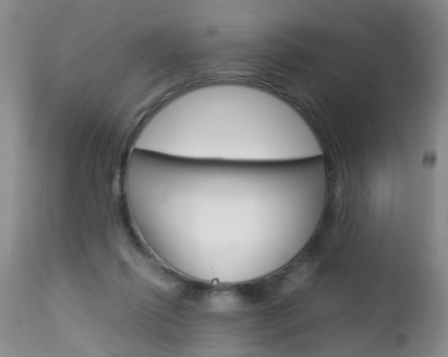 X0000112790262200908210946