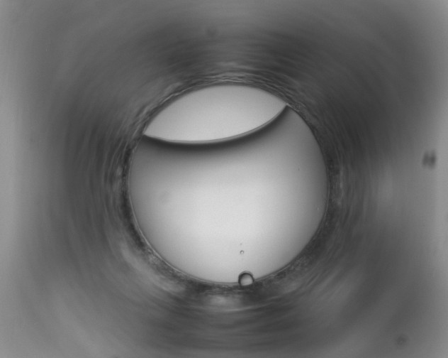 X0000112790263200908210946