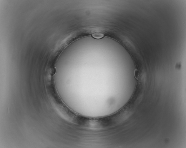 X0000112790264200908210946