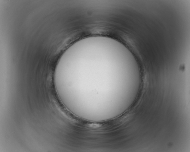 X0000112790265200908210946