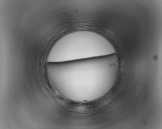 X0000112790267200908210946