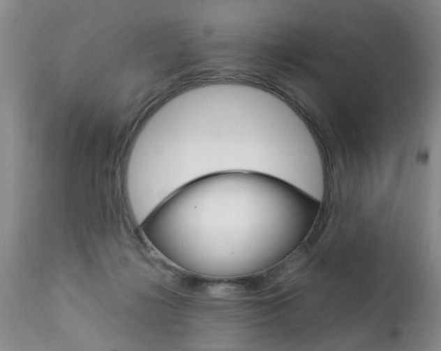 X0000112790268200908210946
