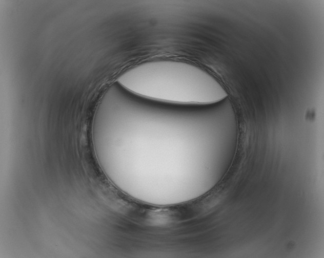 X0000112790269200908210946