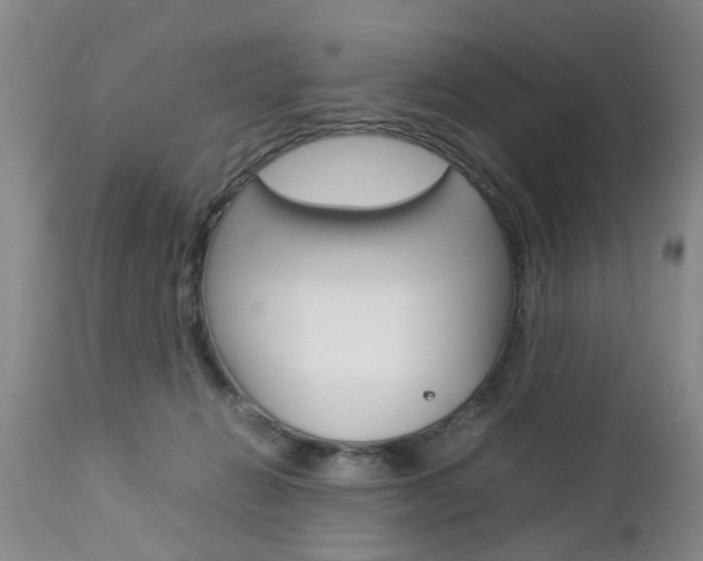 X0000112790270200908210946