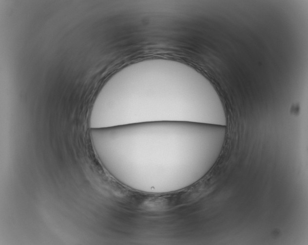 X0000112790271200908210946