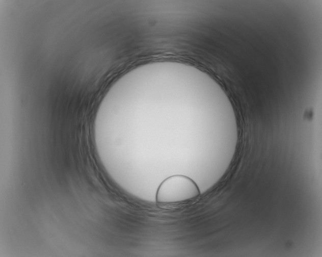 X0000112790272200908210946