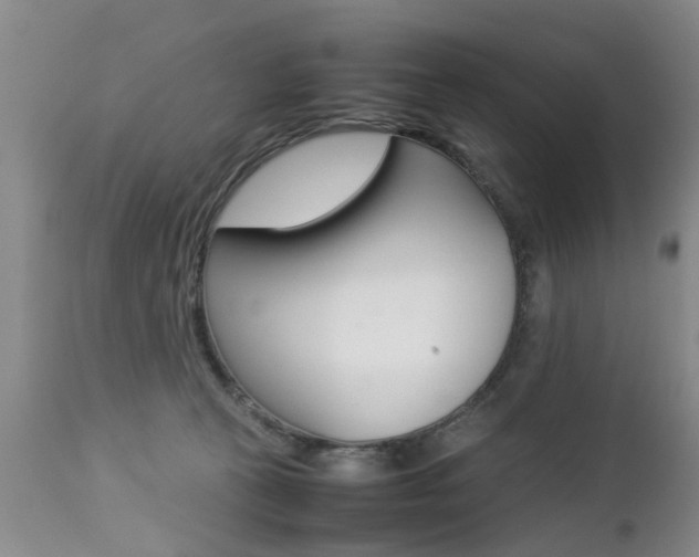 X0000112790273200908210946
