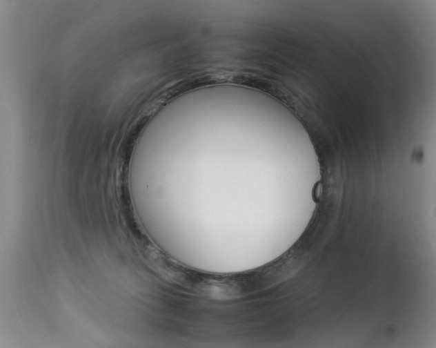 X0000112790275200908210946