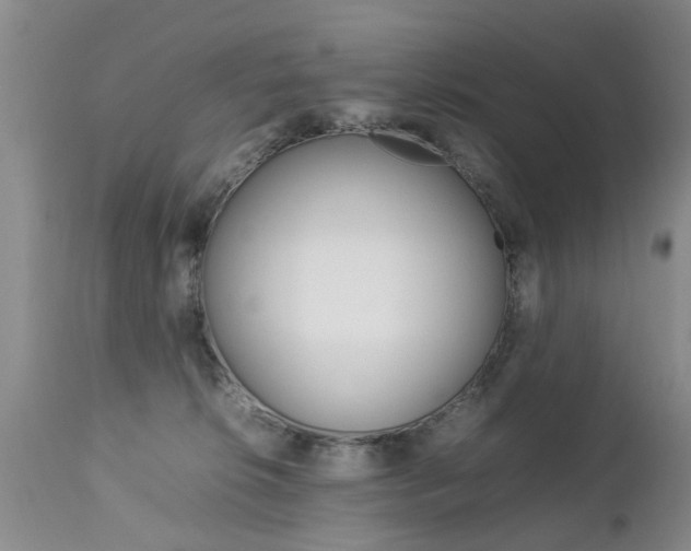 X0000112790276200908210946