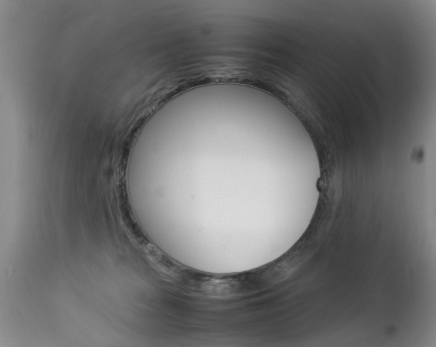 X0000112790277200908210946