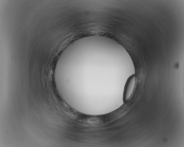 X0000112790279200908210946