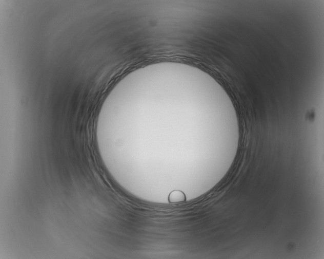 X0000112790280200908210946