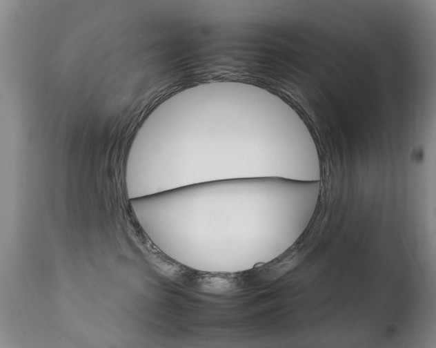 X0000112790285200908210946