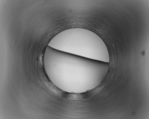 X0000112790286200908210946