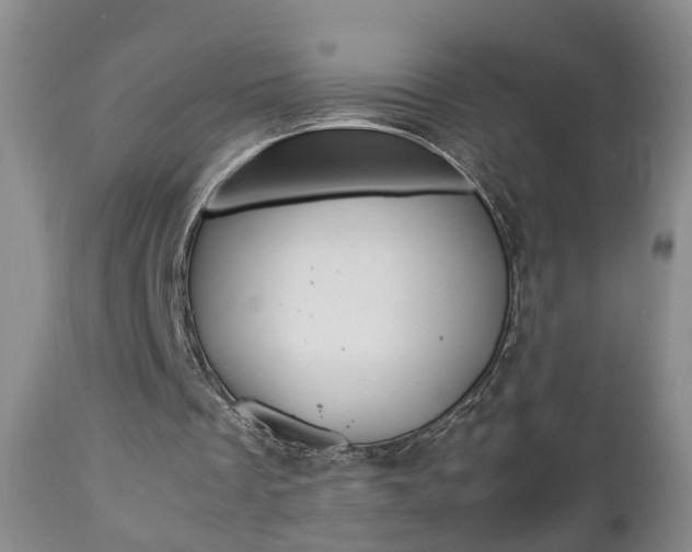 X0000112790289200908210946