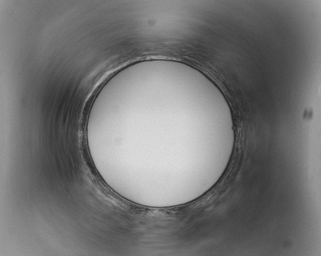X0000112790290200908210946