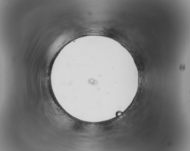 X0000112790293200908210946