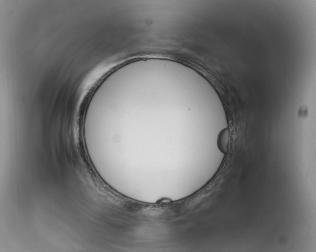 X0000112790294200908210946