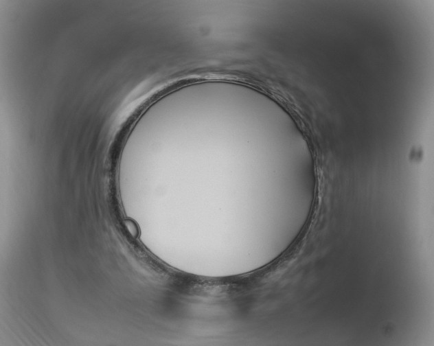 X0000112790295200908210946