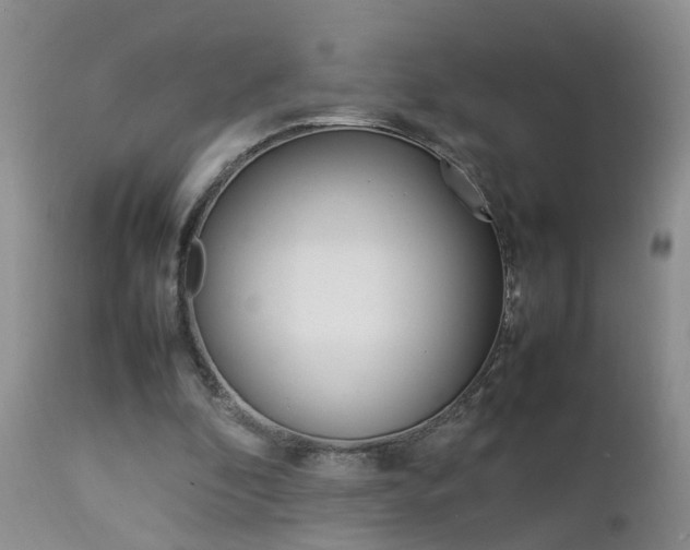 X0000112790296200908210945
