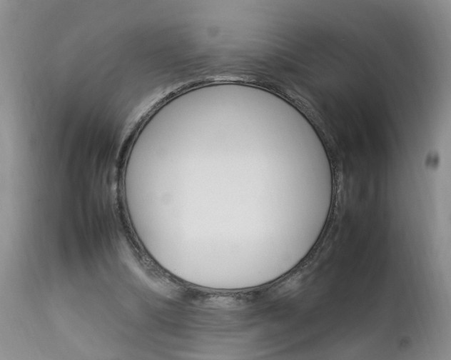 X0000112790298200908210945
