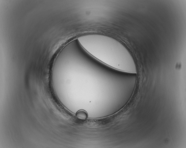 X0000112790299200908210945