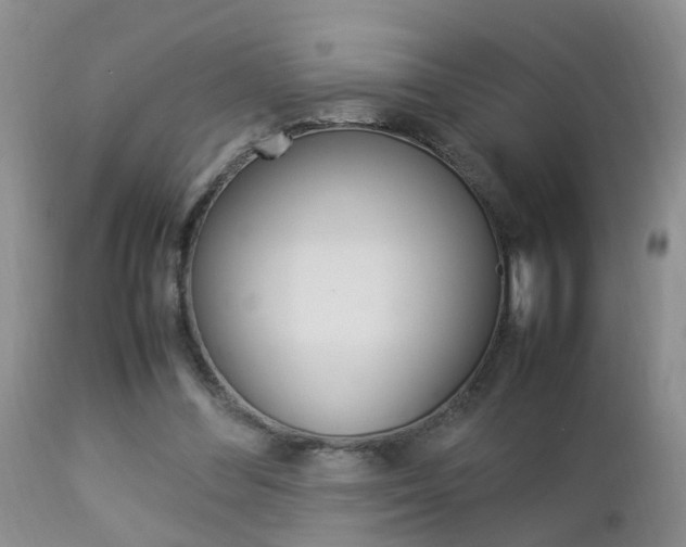 X0000112790300200908210945