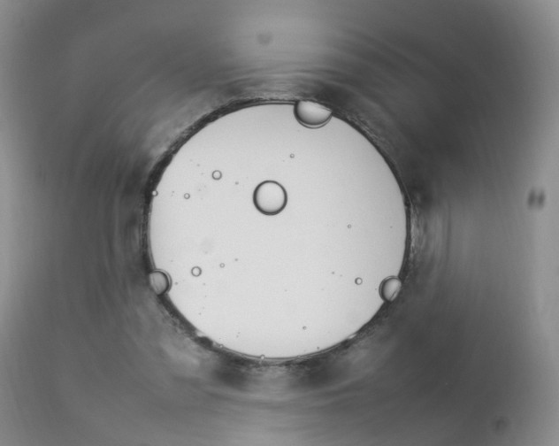 X0000112790301200908210945
