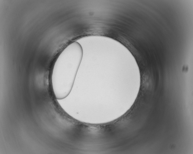 X0000112790302200908210945