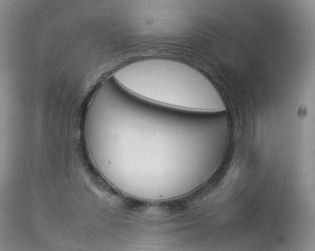 X0000112790303200908210945