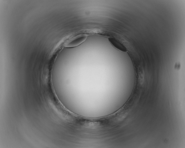 X0000112790304200908210945