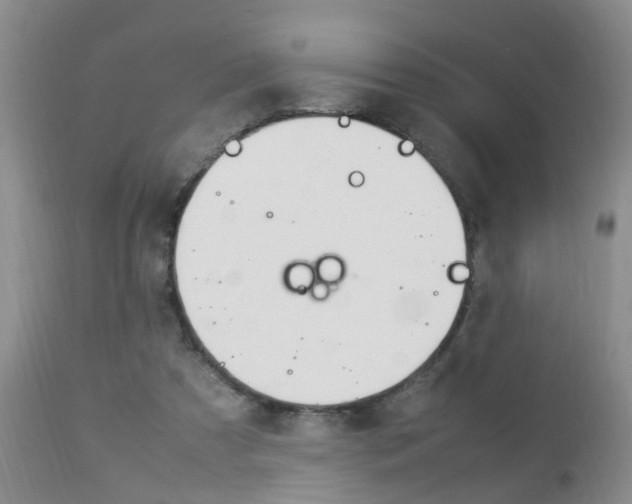 X0000112790305200908210945