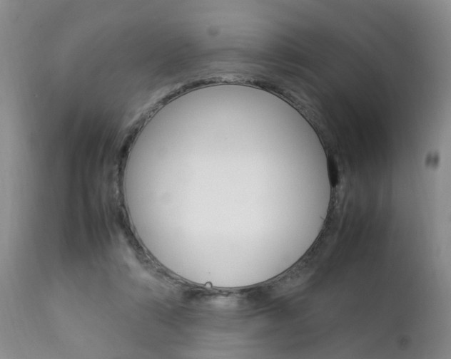 X0000112790306200908210945