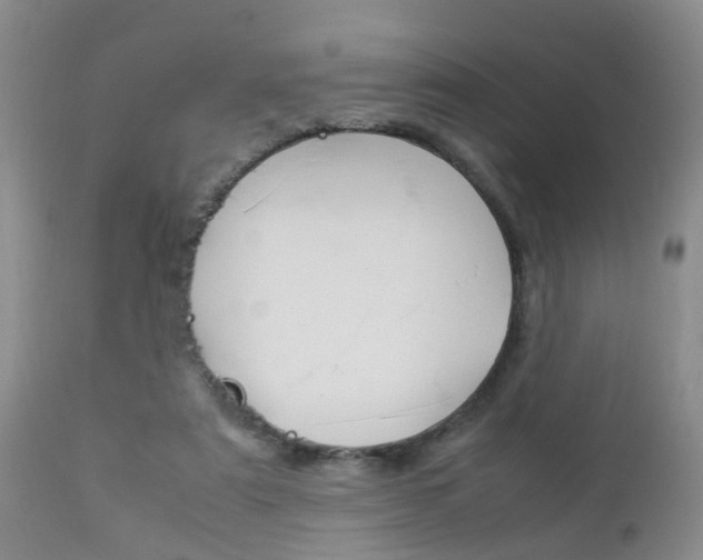 X0000112790307200908210945