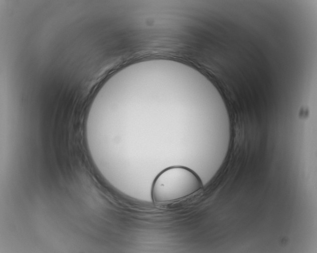X0000112790308200908210945