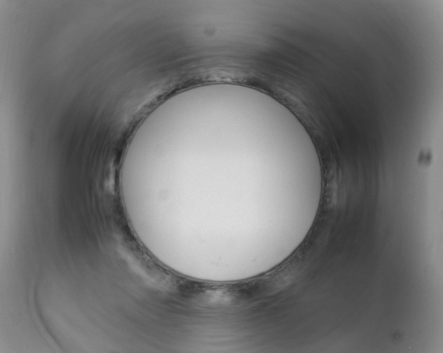 X0000112790310200908210945
