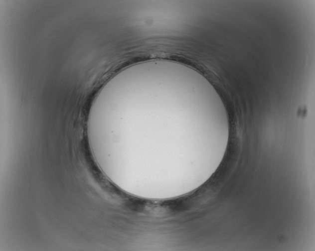 X0000112790311200908210945