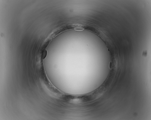 X0000112790312200908210945