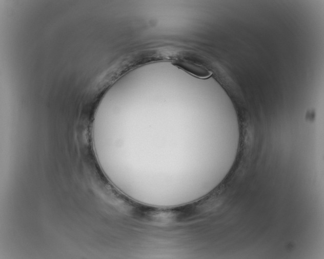 X0000112790313200908210945