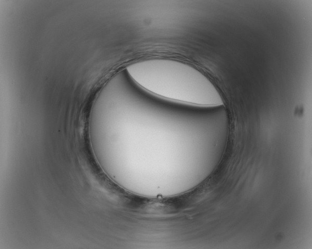 X0000112790315200908210945