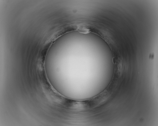 X0000112790316200908210945