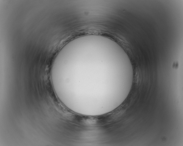 X0000112790318200908210945