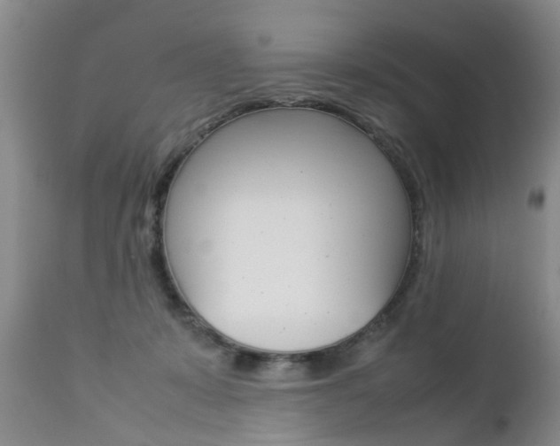 X0000112790319200908210945