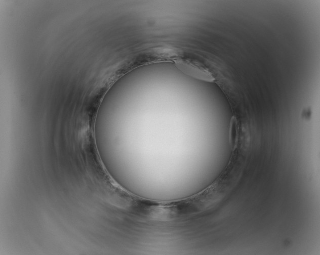 X0000112790320200908210945