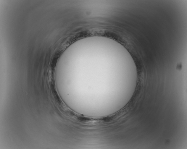 X0000112790323200908210945