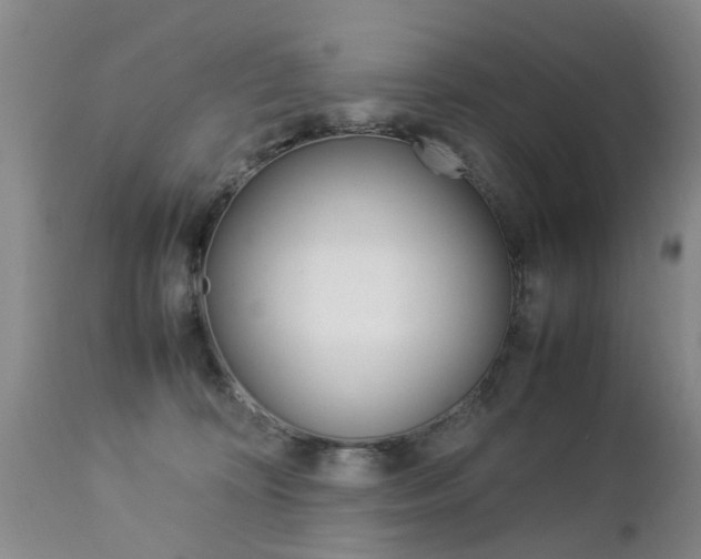 X0000112790324200908210945