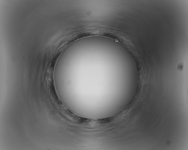 X0000112790325200908210945
